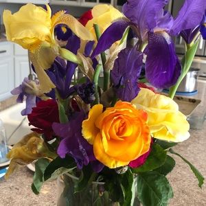 Meet your Posher, Maria